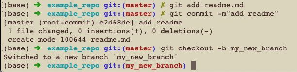 branch_change_in_terminal