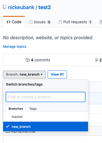 switch_to_new_branch